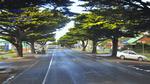 DSC_2671f DSC_2671f