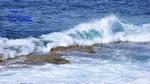 DSC_2715f DSC_2715f